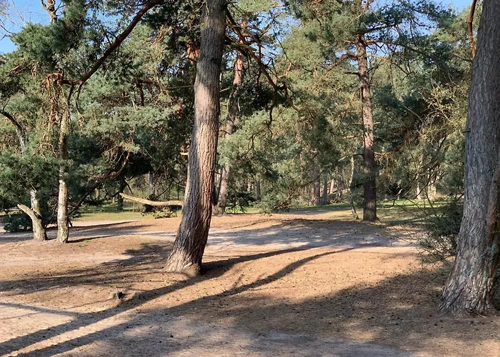 Vakantiewoning De Lutte